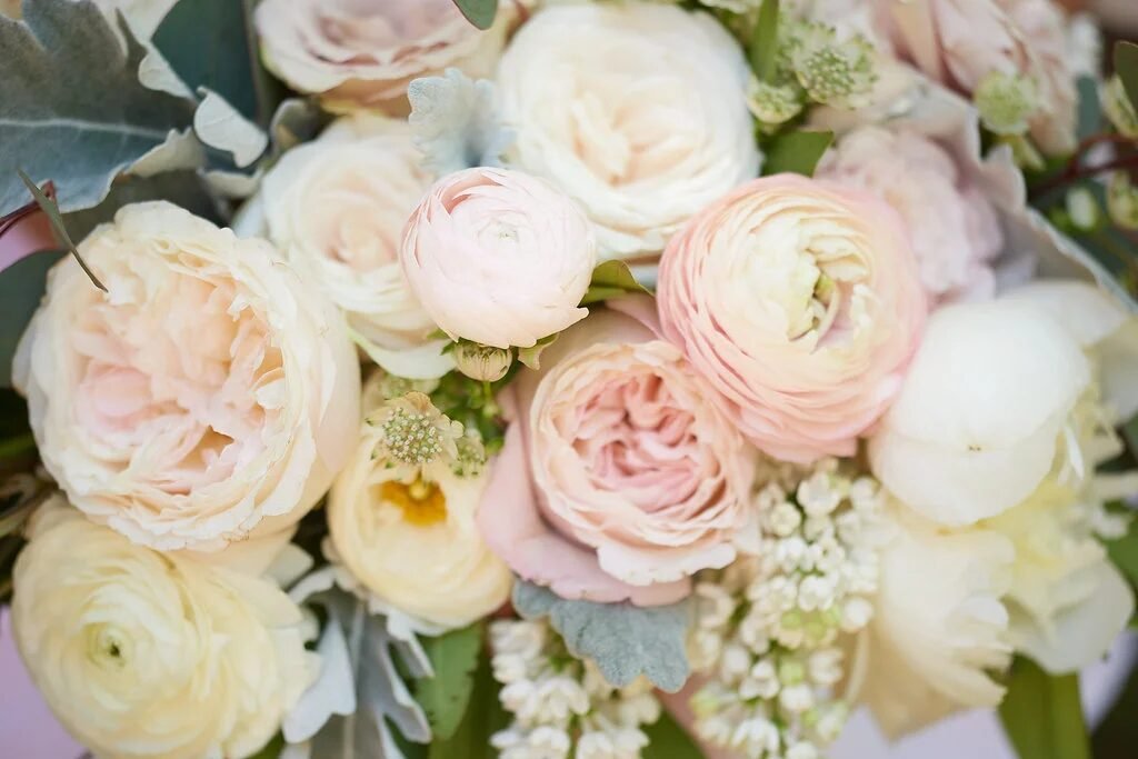 Overhead close-up of blush and cream garden roses, ranunculus, dusty miller and eucalyptus